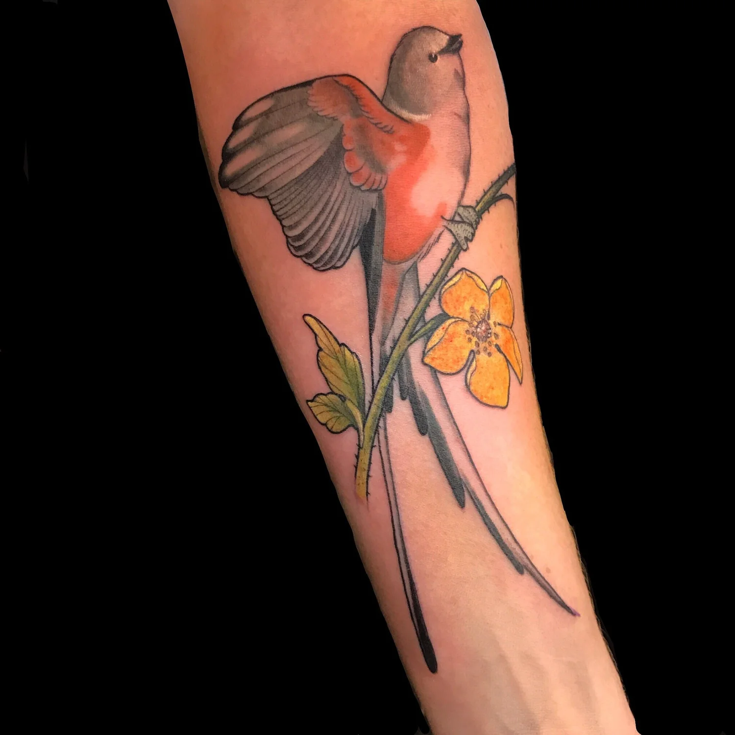 Bird tattoo by Jeremy Swan
