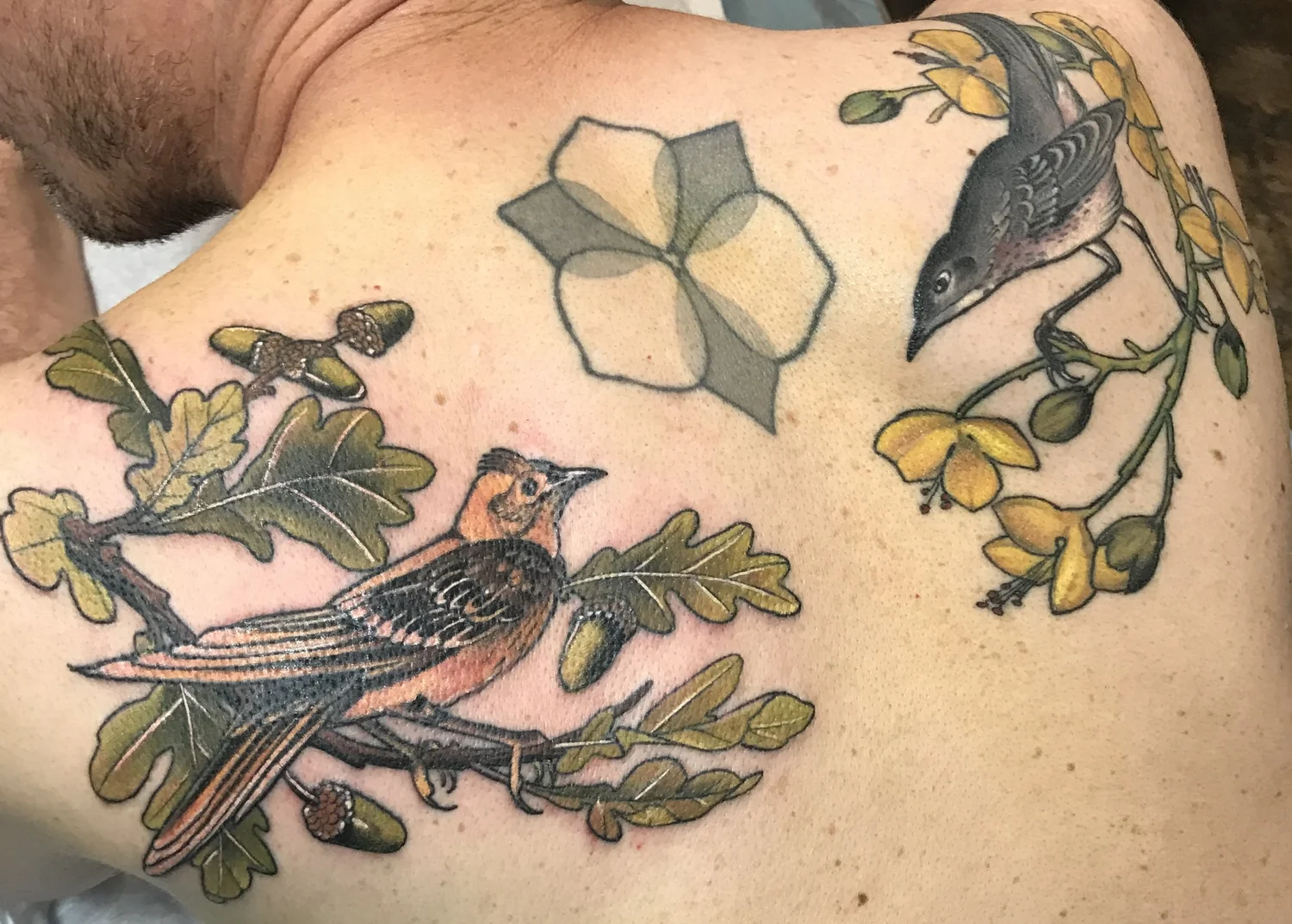 Bird tattoo by Jeremy Swan