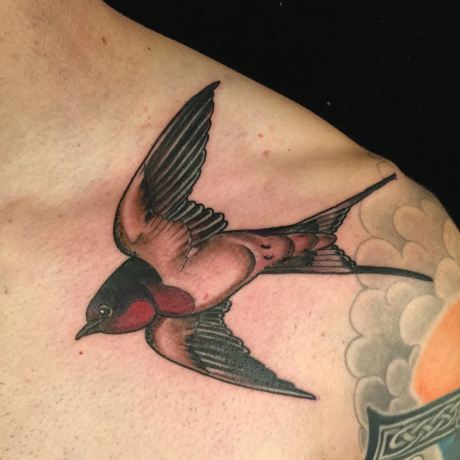 Bird tattoo by Jeremy Swan