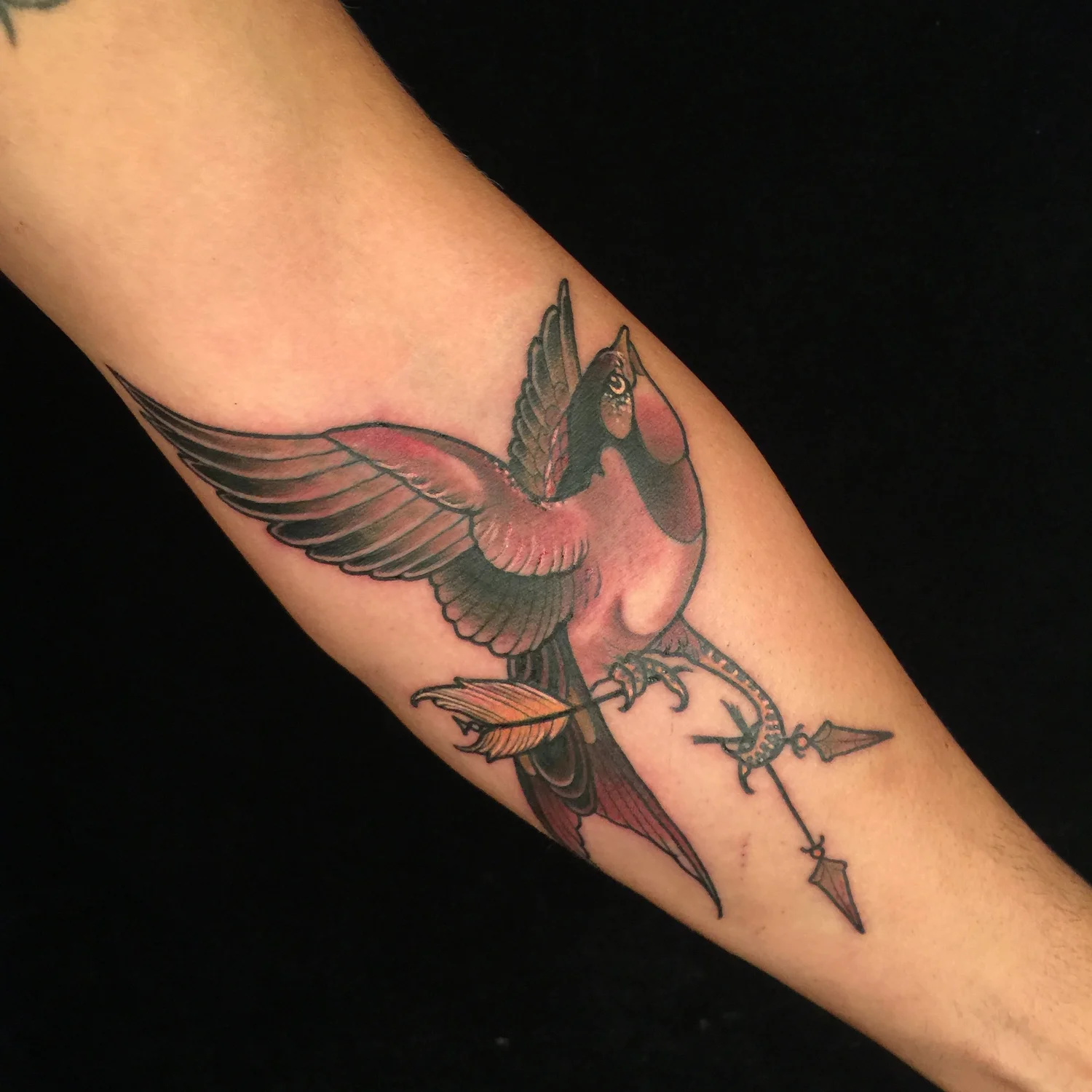 Bird tattoo by Jeremy Swan