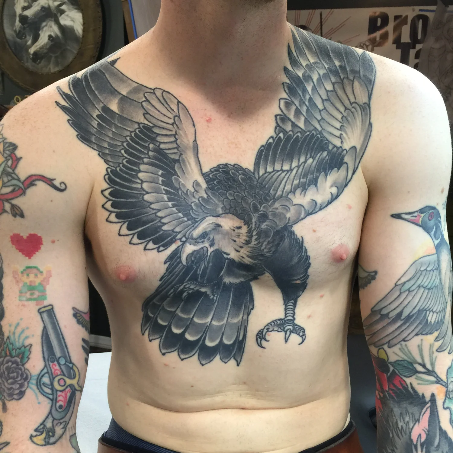 Black and gray full frontal hawk
