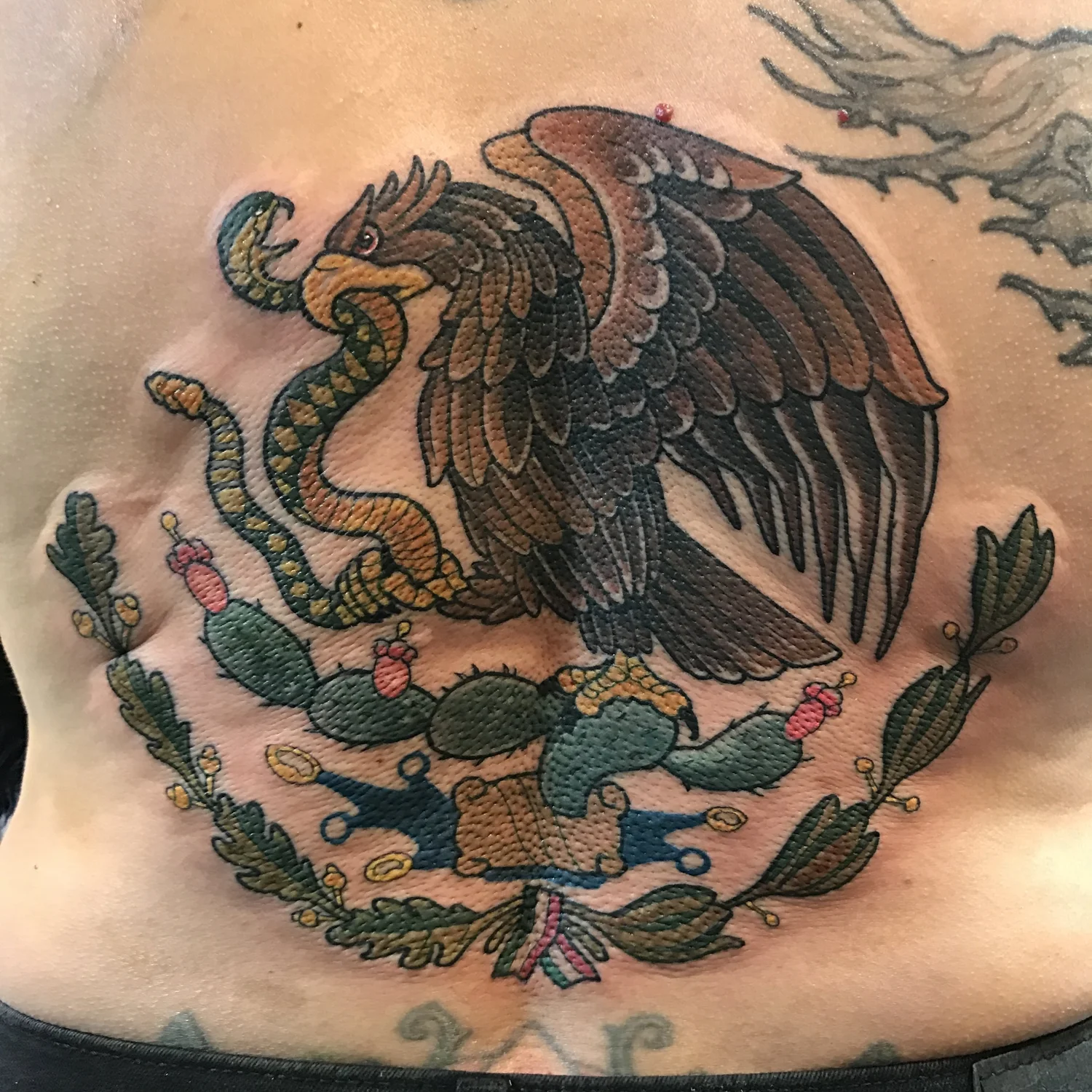 Traditional Mexican flag coat of arms