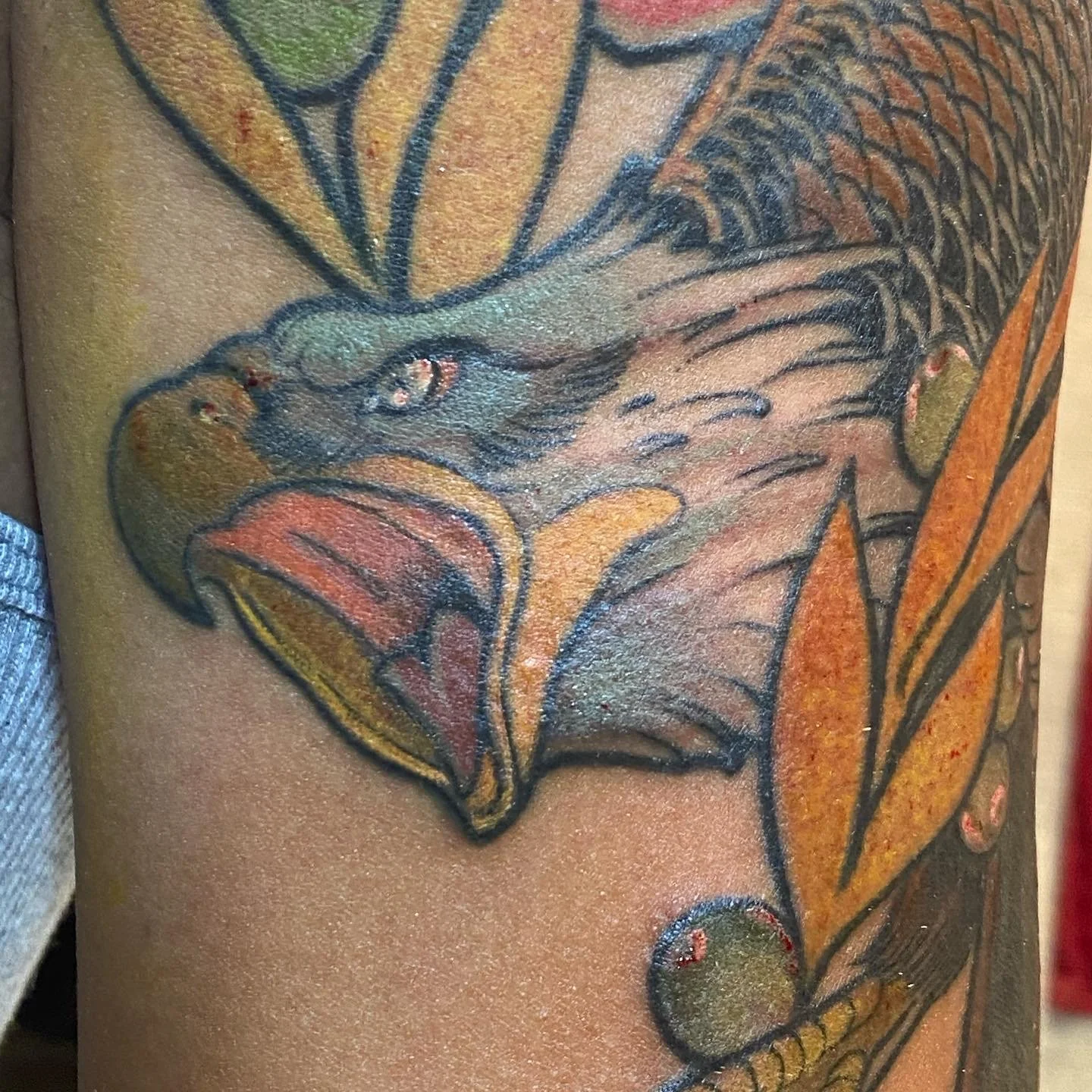 Screaming eagle