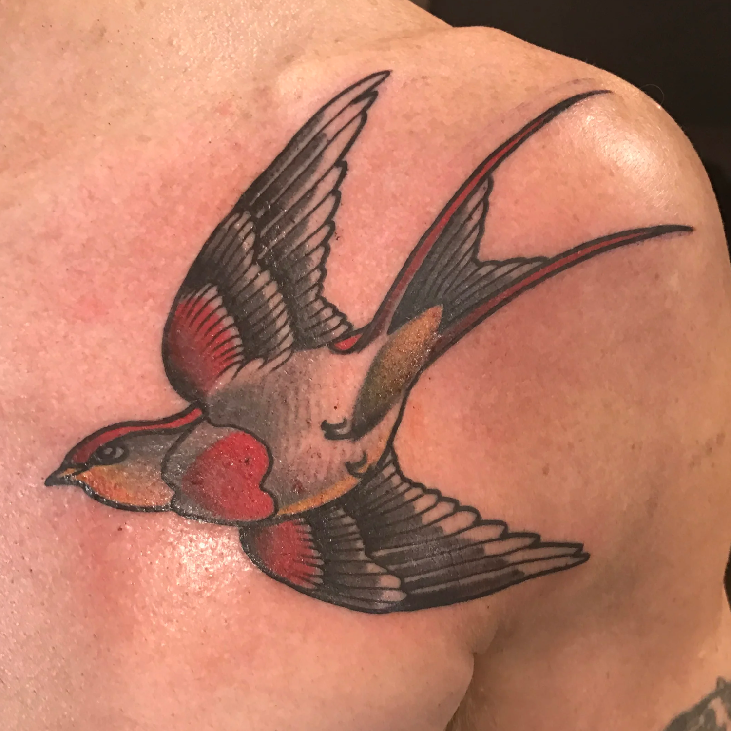 Neotraditional swallow