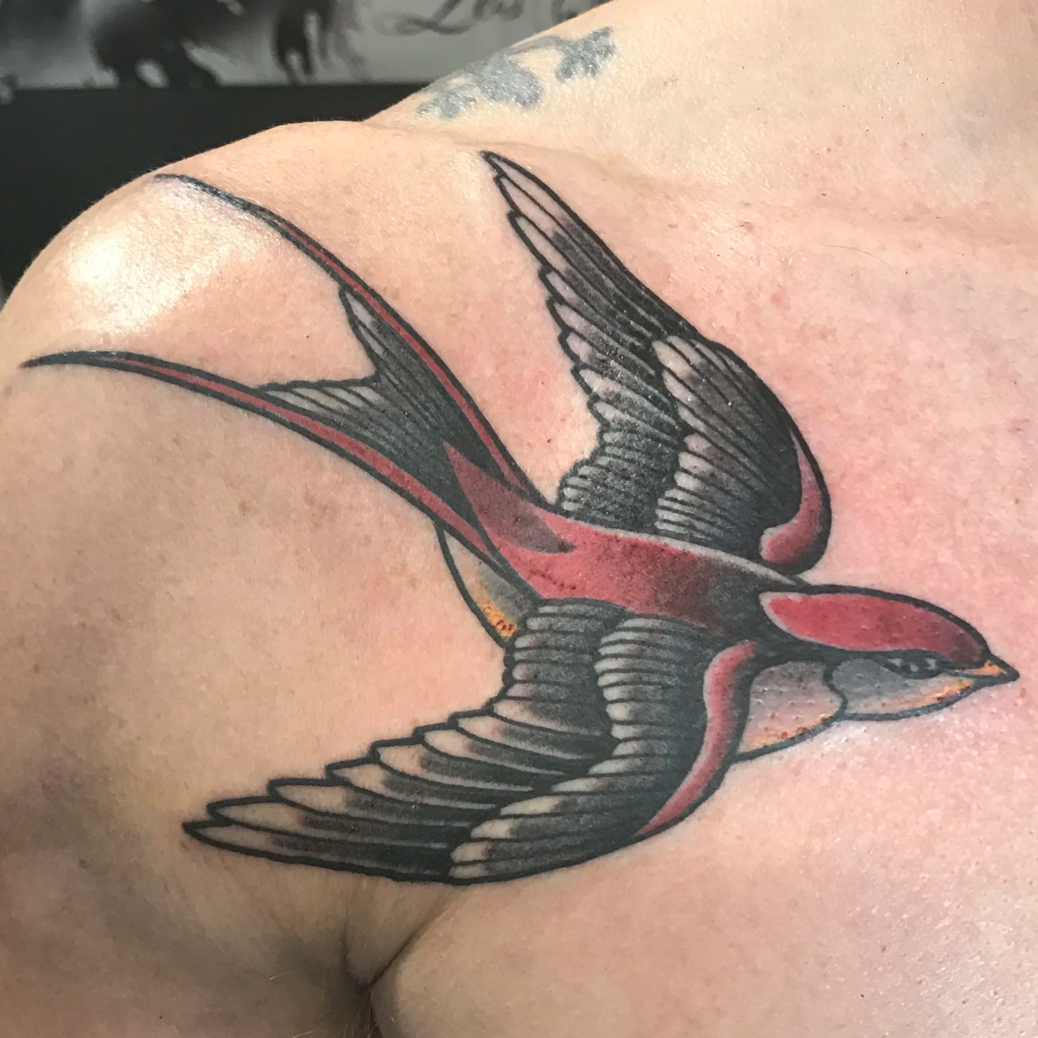 Neotraditional swallow
